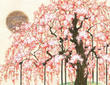 Blank Japanese Cards