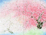 Blank Japanese Cards
