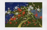 Blank Japanese Cards