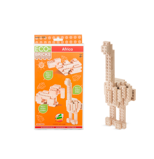 Eco-Bricks 3-in-1 Africa - photo 1