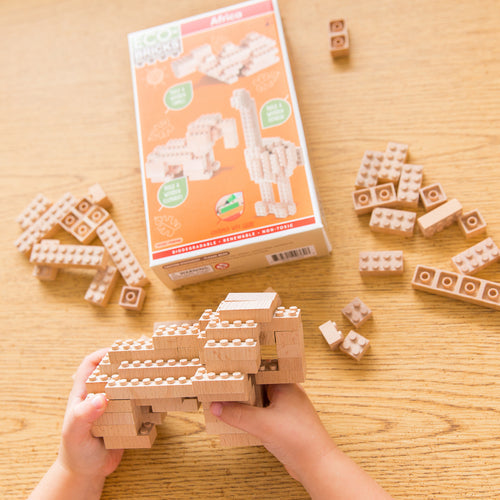 Eco-Bricks 3-in-1 Africa - photo 7