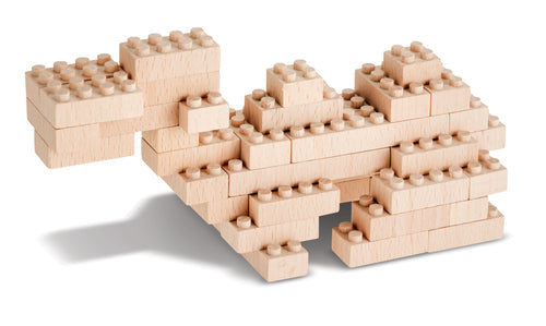 Eco-Bricks 3-in-1 Africa - photo 4