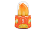 DS Mango 3D Ice Cream