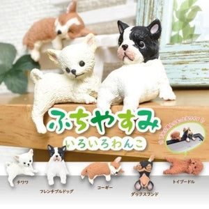 Yell Resting Dog Blind Box