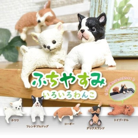 Yell Resting Dog Blind Box