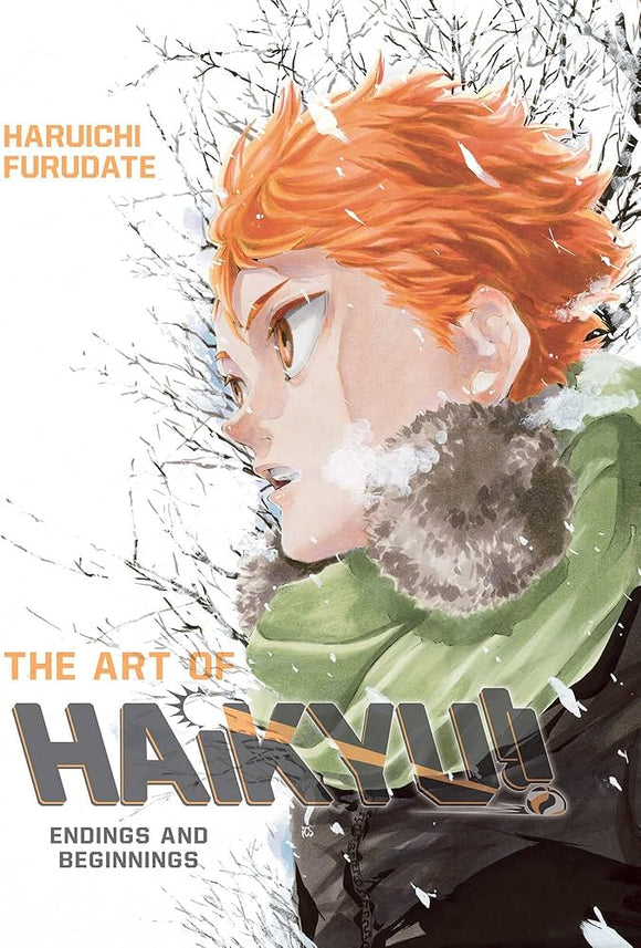 The Art of Haikyu!!