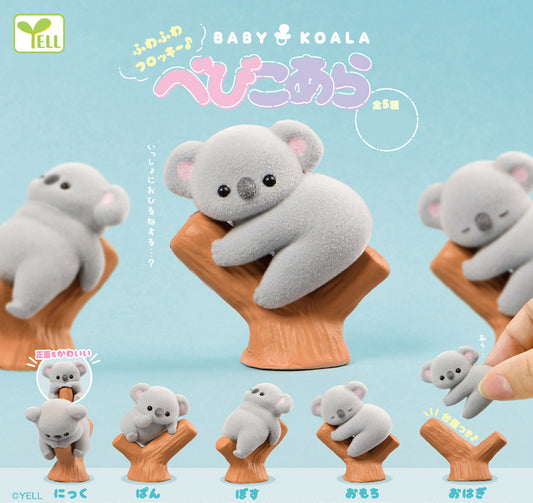 Yell | Baby Koala