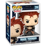 Funko Pop! Solo Leveling