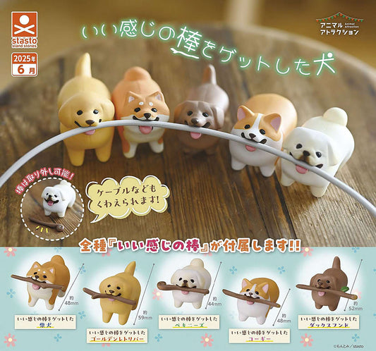 Stand Stones | Dogs Who Got Nice Sticks