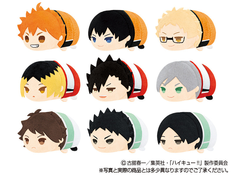 SK Japan | OnemMochimochi Mascotutan |  Haikyu!! | Vol 4