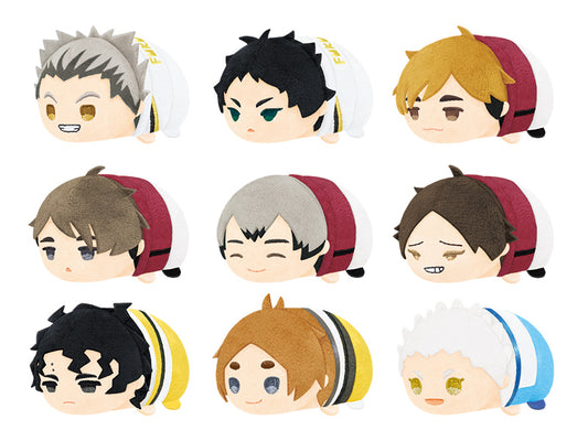SK Japan | OnemMochimochi Mascotutan |  Haikyu!! | Vol 5