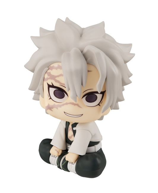 Lookup Demon Slayer Shinazugawa Sanemi