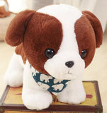 Puppies For adoption