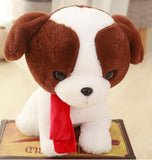 Puppies For adoption