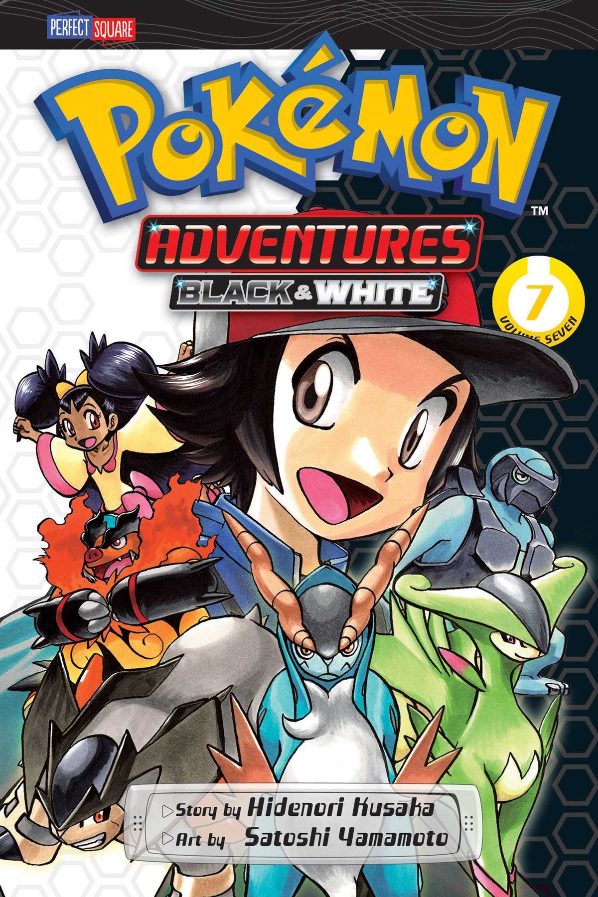 Pokemon Adventure (Black & White)