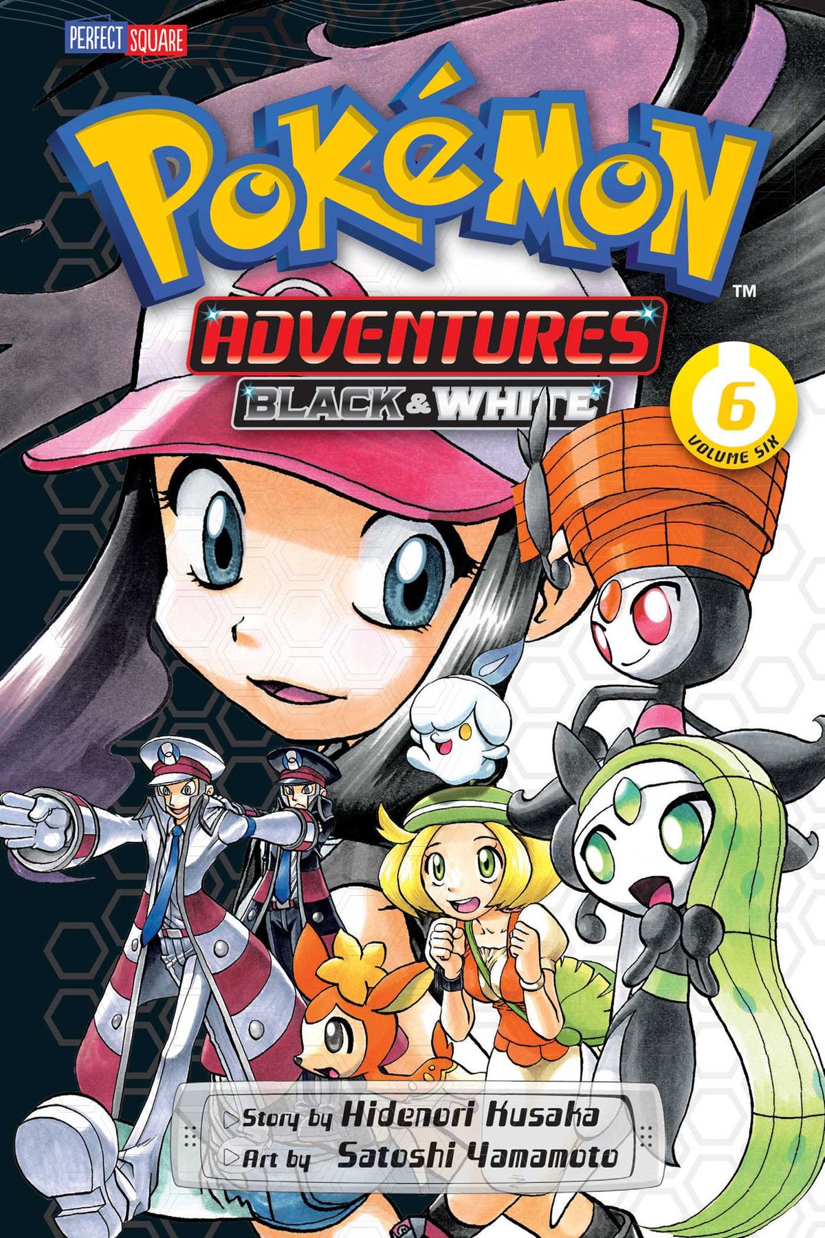 Pokemon Adventure (Black & White)