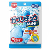 Gaburi Chew Soft Candy